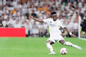 他的成熟 他的成熟